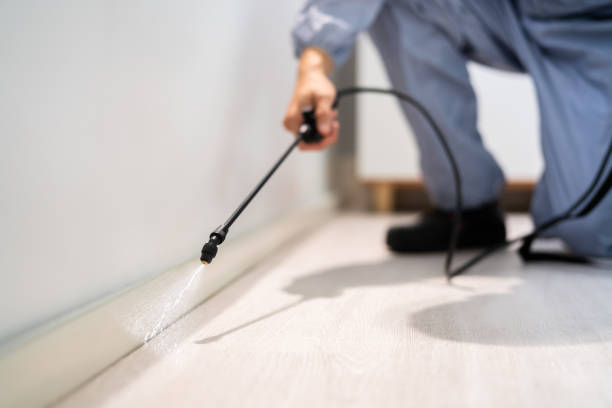 Licensed Bed Bug Control service in Ellsworth County County, KS - Nex Pest Control