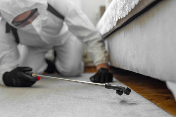 Professional Bed Bug Control technician working in Ellsworth County County, KS